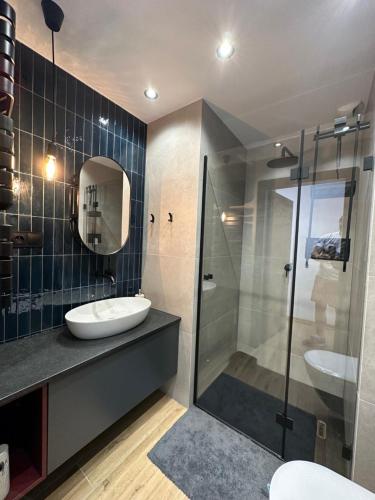 a bathroom with a sink and a glass shower at 8Flor Sokolska 30 Katowice in Katowice