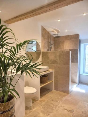 La salle de bains est pourvue de toilettes et d'une plante. dans l'établissement Le Clos du rempart - 2 à 4 pers., à Saint-Restitut