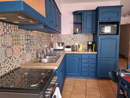een keuken met blauwe kasten en een wastafel bij Vacances Et Weekends A Ceret in Céret