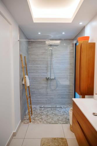 a bathroom with a shower with a ladder in it at Villas Vista Del Mar in Sainte-Anne