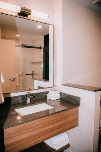 a bathroom with a sink and a large mirror at Fairfield Inn & Suites by Marriott Lexington Georgetown/College Inn in Georgetown