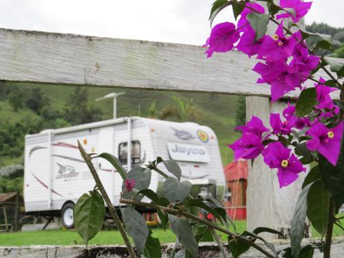 a white truck parked in a field with purple flowers at Hotel Recreacional Marcelandia Santa Rosa de Cabal in Santa Rosa de Cabal