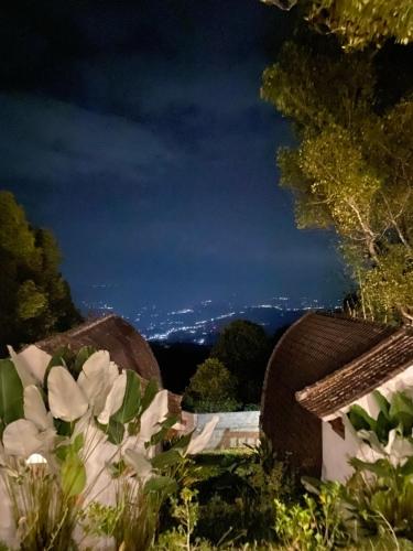 a view of the mountains from a garden at night at La Cascata Bali Munduk in Munduk