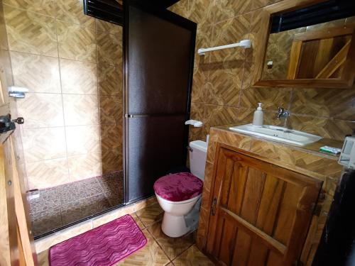 a bathroom with a shower and a toilet and a sink at Cabañas San Rafael in Palmares