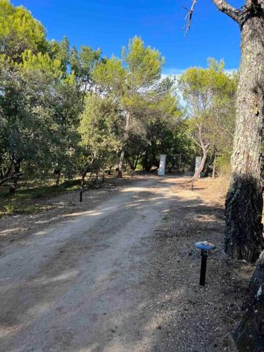 Φυσικό τοπίο κοντά σε αυτή η βίλα