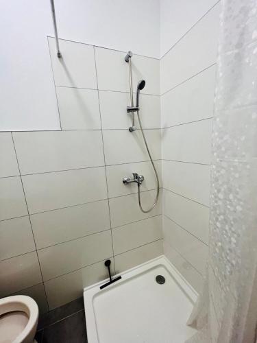 bagno con doccia e servizi igienici. di Neuwertiges Apartment mit schnellem WLAN, Glasfaser, Kostenlose Privatparkplatz auch für Transporter geeignet R21 a Freiberg am Neckar