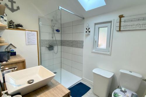 a bathroom with a sink and a shower at Gîte Etienne Marie in Le Crotoy