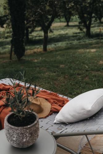 a table with a pillow and a potted plant on it at Das Dietrich - Landhaus 64 in Leibnitz