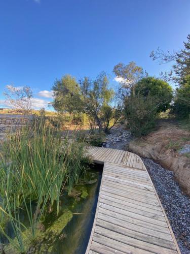 a wooden bridge over a pond in a field at La Colmena Glamping in El Rosario