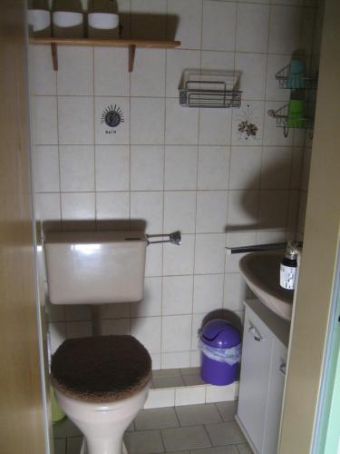 ein kleines Bad mit WC und Waschbecken in der Unterkunft Ferienwohnung R & W Schulz in Altenau