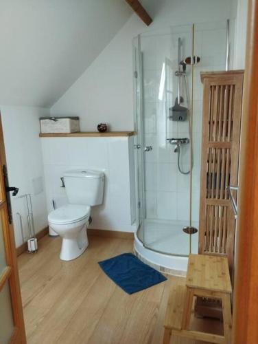 une salle de bain avec toilettes et douche en verre dans l'établissement Jolie maison au calme, à Châteauvieux