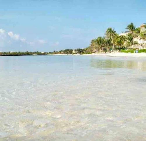 a view of a beach with palm trees and the water at Villa Talia, Relax, beach & Nature in Puerto Aventuras