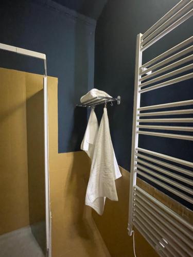 a bathroom with a shower with towels and a phone at Duomo 12 in Modena