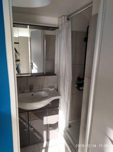 une salle de bain avec un lavabo, un miroir et une douche dans l'établissement Le Zen ( Calme et lumineux ), à Malzéville