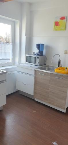 eine Küche mit einer Spüle und einer Mikrowelle in der Unterkunft Apartaments Am Schloß in Bevern