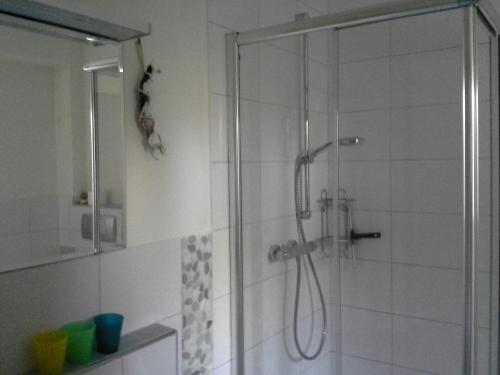 a shower with a glass door in a bathroom at Apartment Herdrich in Rust