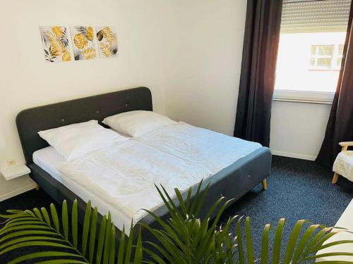 1 dormitorio con cama y planta en Ferienwohnung Edge-Inn, 
