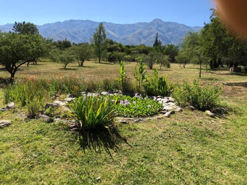 a flower garden in a field with mountains in the background at La Casita en La Juni in San Javier