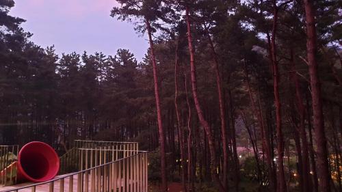 a gate with a red object on it next to a forest at Forestel Meomul in Suncheon
