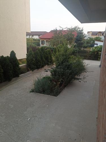 a courtyard with bushes and a building and a house at Cozy Popesti in Popeşti-Leordeni