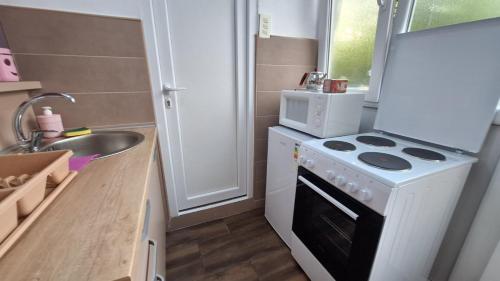 Kuchyň nebo kuchyňský kout v ubytování Apartman Jelena