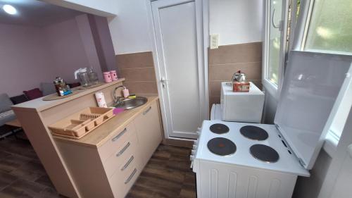 Kuchyň nebo kuchyňský kout v ubytování Apartman Jelena