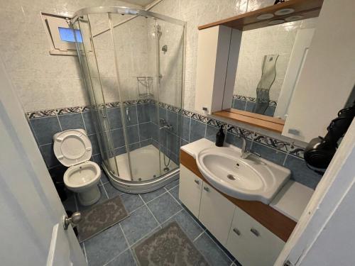 ein Bad mit einem WC, einem Waschbecken und einer Dusche in der Unterkunft Double teras in center in Istanbul
