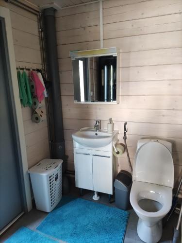 a bathroom with a toilet and a sink and a mirror at Kaukuanjärven Kimallus in Kuloharju