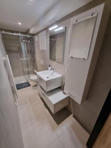 uma casa de banho com um lavatório, um chuveiro e um WC. em Résidence cosy et moderne em Morvillars