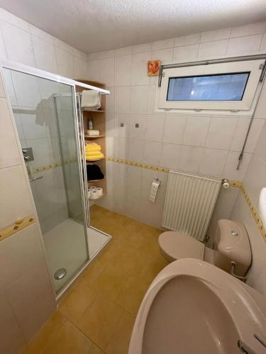 uma casa de banho com um WC e uma cabina de duche em vidro. em Ferienwohnung Blessinger em Coburgo