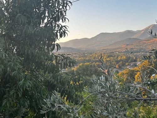a view of a valley with trees and mountains at LA CASA IN COLLINA in Veroli