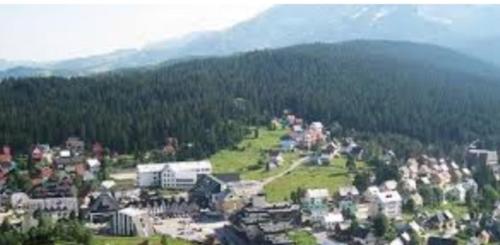 an aerial view of a town in the mountains at Žabljak Apartman in Žabljak