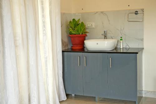 a bathroom with a blue cabinet with a sink and a plant at Chimneys Homestay - Full House, Near to Falls & Trek in Sakleshpur