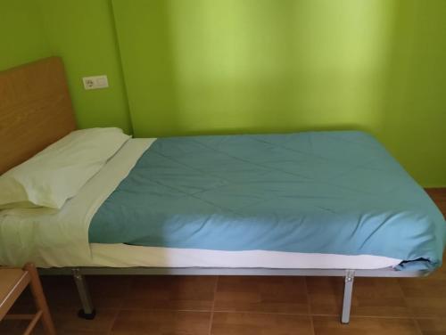 a bed in a room with a green wall at habitaciones, restaurante asador el puente Galdames in San Pedro de Galdames