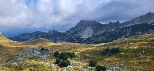 a view of a mountain range with trees in the foreground at Accommodation Konak in Žabljak