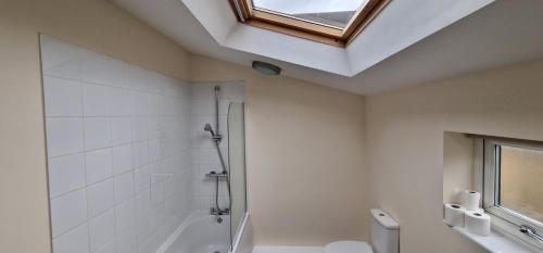 a bathroom with a shower and a toilet and a skylight at PENTHOUSE APARTMENT IN CENTRAL HALIFAX in Halifax