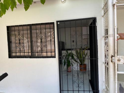 a door with a gate and a potted plant at Mami Yola in Valledupar