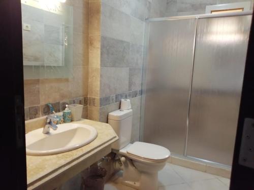 uma casa de banho com um WC, um lavatório e um chuveiro em Telal Ground Floor 2 bedroms em Ain Sokhna
