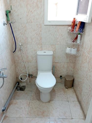 ein Badezimmer mit einem weißen WC in einer Dusche in der Unterkunft Holiday Inn fayoum 