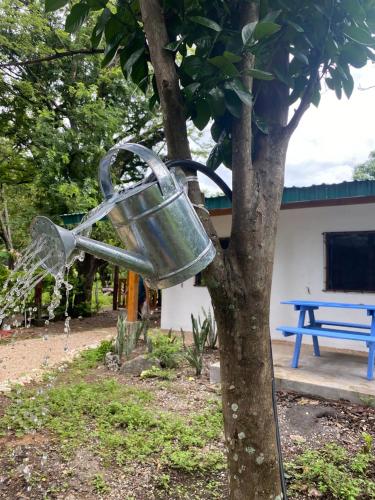 a water bucket hanging from a tree at La casa del Artesano !Casa completa frente al mar! in Santa Cruz