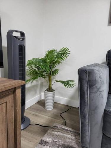 a plant in a living room next to a heater at Serene Haven - 1 bedroom apartment. in Calgary