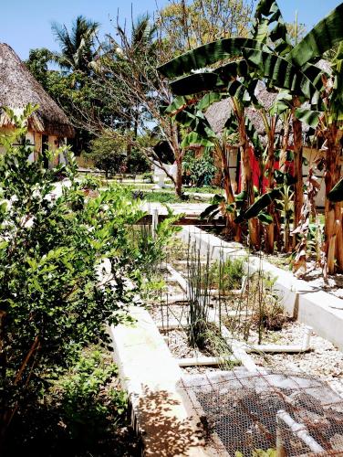 a garden in front of a house with trees at Hotel y Museo Aldea Maya Toktli Orígenes - Suite Casa Maya 3 Culturas - Alberca, Wifi Starlink, Tour Museo in Izamal