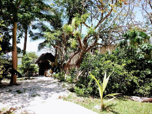a path through a garden with trees and bushes at Hotel y Museo Aldea Maya Toktli Orígenes - Suite Casa Maya 3 Culturas - Alberca, Wifi Starlink, Tour Museo in Izamal