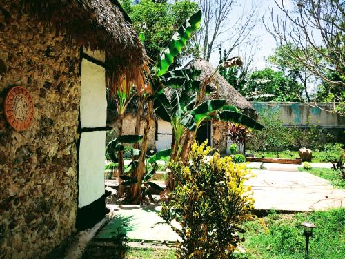 a garden with a building and a tree at Hotel y Museo Aldea Maya Toktli Orígenes - Suite Casa Maya 3 Culturas - Alberca, Wifi Starlink, Tour Museo in Izamal