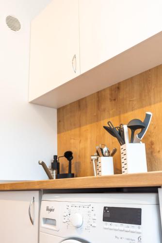 a kitchen counter with a washer and dryer at Thome Bucegi Studio in Cluj-Napoca