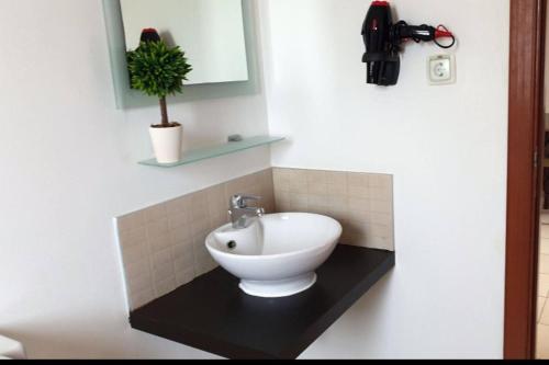 ein Badezimmer mit einem Waschbecken und einer Topfpflanze in der Unterkunft Tortuga beach lovely 2 bed apartment and gardens in Santa Maria