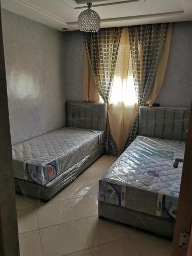 Легло или легла в стая в Assaada2