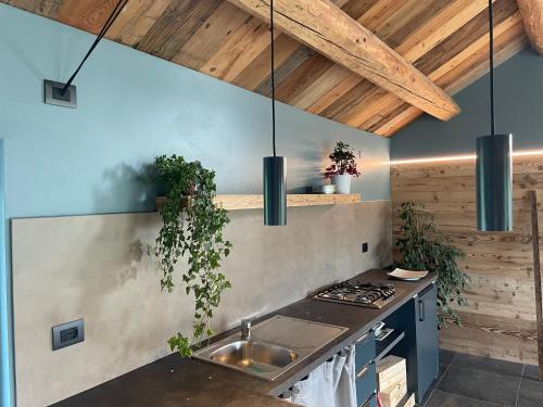 Kuchyň nebo kuchyňský kout v ubytování Suite 110