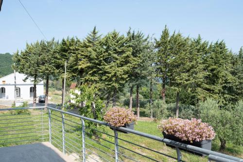 a balcony with two potted plants on a fence at B&B La Caruscia in Trivento