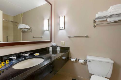 ein Badezimmer mit einem Waschbecken, einem WC und einem Spiegel in der Unterkunft Best Western Plus University Inn in Moscow